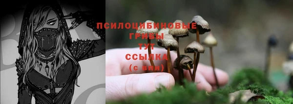 ECSTASY Володарск