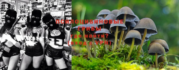 каннабис Волоколамск